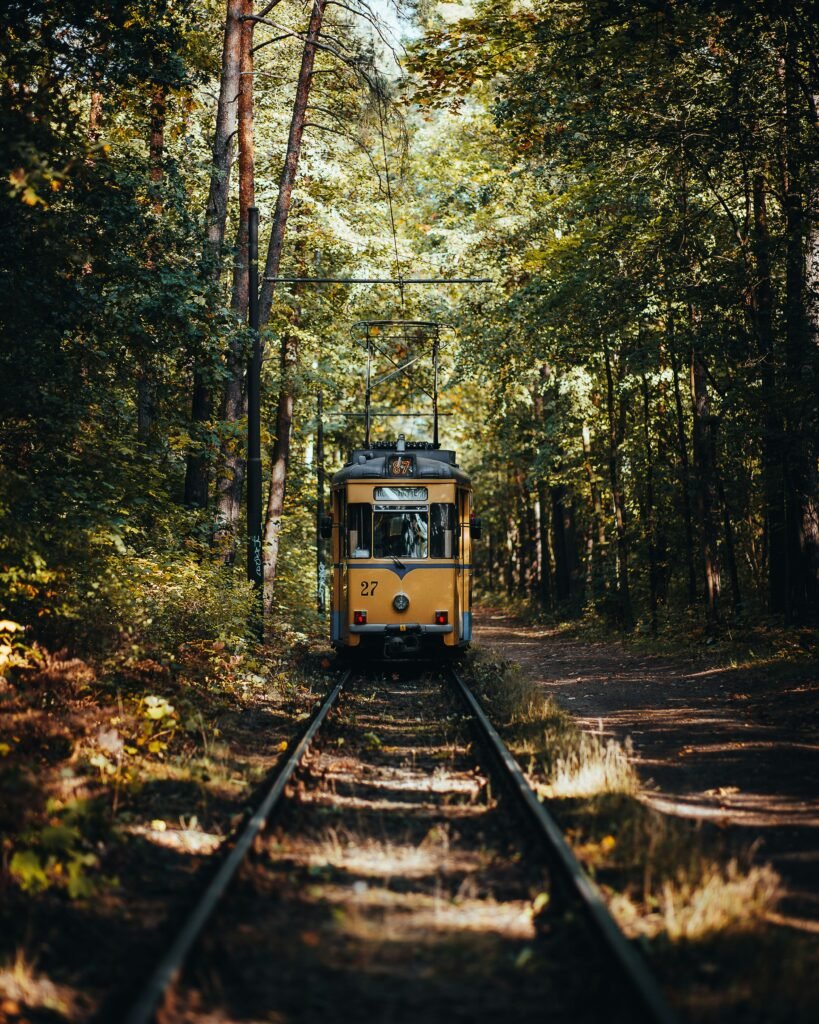 Travelers exploring Vienna on a 6 Days Multi Country Tour through Czech Republic and Austria